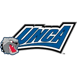 UNC Asheville Bulldogs Alternate Logo 2004 - 2013