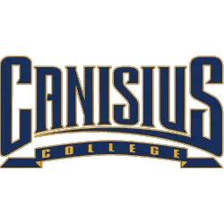 Canisius Golden Griffins Wordmark Logo 2006 - Present