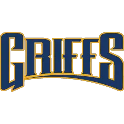 Canisius Golden Griffins Wordmark Logo 2006 - Present