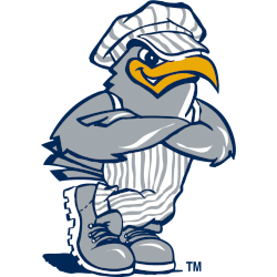 Chattanooga Mocs Primary Logo 1997 - 2008