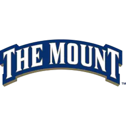 Mount St. Mary's Mountaineers Wordmark Logo 2006 - 2016