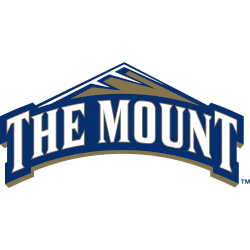 Mount St. Mary's Mountaineers Primary Logo 2006 - 2016