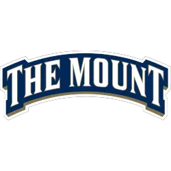 Mount St. Mary's Mountaineers Wordmark Logo 2016 - Present