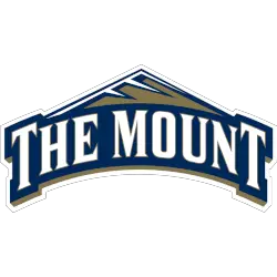 mount-st-marys-mountaineers-primary-logo