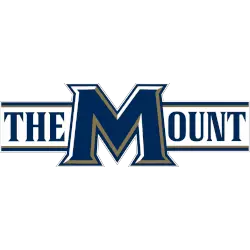 Mount St. Mary's Mountaineers Wordmark Logo 2016 - Present