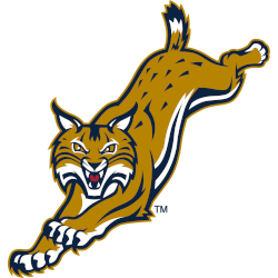 Quinnipiac Bobcats Alternate Logo 2002 - 2017