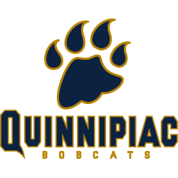 Quinnipiac Bobcats Wordmark Logo 2002 - 2017