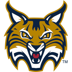 Quinnipiac Bobcats Alternate Logo 2002 - 2017