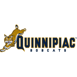 Quinnipiac Bobcats Wordmark Logo 2002 - 2017