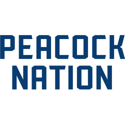 Saint Peter's Peacocks Wordmark Logo 2020 - Present