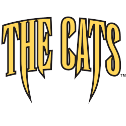 Western Carolina Catamounts Wordmark Logo 1996 - 2003