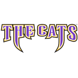 Western Carolina Catamounts Wordmark Logo 2003 - 2008