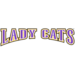 Western Carolina Catamounts Wordmark Logo 2003 - 2008