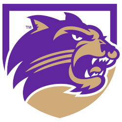 Western Carolina Catamounts Alternate Logo 2008 - 2017