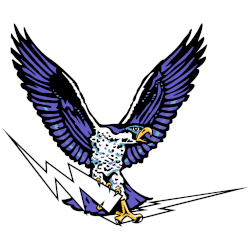 Air Force Falcons Alternate Logo 1954 - 1955