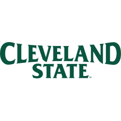 Cleveland State Vikings Wordmark Logo 2014 - Present