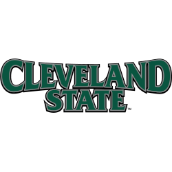 Cleveland State Vikings Wordmark Logo 2014 - Present