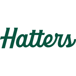 Stetson Hatters Wordmark Logo 2023 - Present