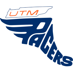 Tennessee-Martin Skyhawks Primary Logo 1973 - 1983