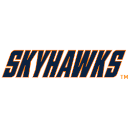 Tennessee-Martin Skyhawks Wordmark Logo 2020 - Present