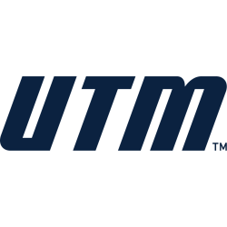 Tennessee-Martin Skyhawks Wordmark Logo 2020 - Present