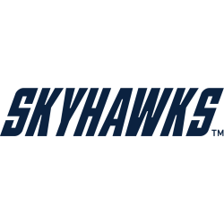 Tennessee-Martin Skyhawks Wordmark Logo 2020 - Present