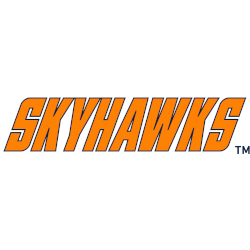 Tennessee-Martin Skyhawks Wordmark Logo 2020 - Present