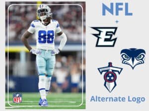 NFL Alternate Logo Icon 2 | SPORTS LOGO HISTORY