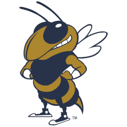 Georgia Tech Yellow Jackets Alternate Logo 2026 - Present