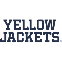 Georgia Tech Yellow Jackets Wordmark Logo 2026 - Present