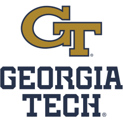 Georgia Tech Yellow Jackets Alternate Logo 2026 - Present