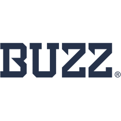 Georgia Tech Yellow Jackets Wordmark Logo 2026 - Present